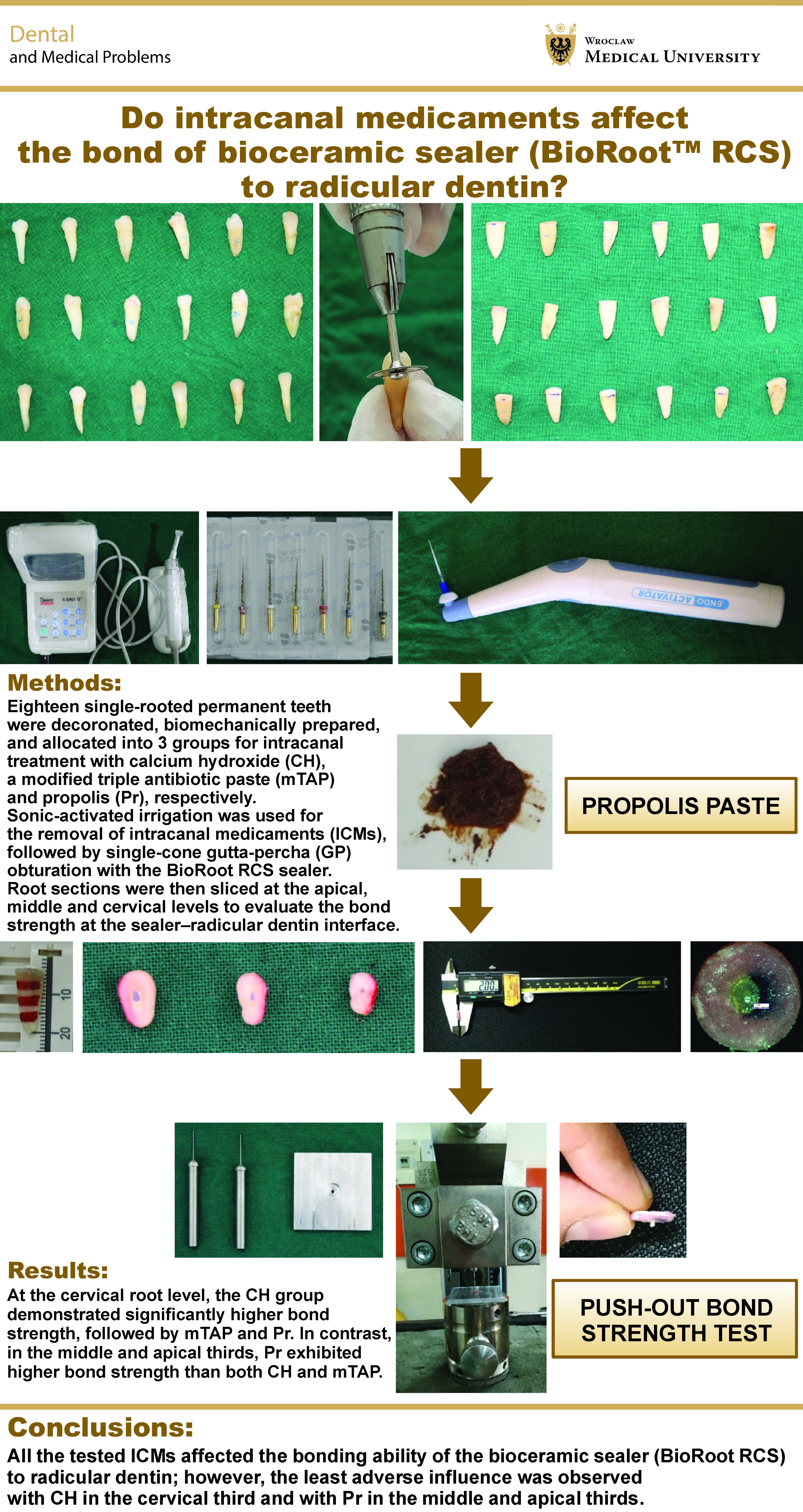 Graphical abstracts