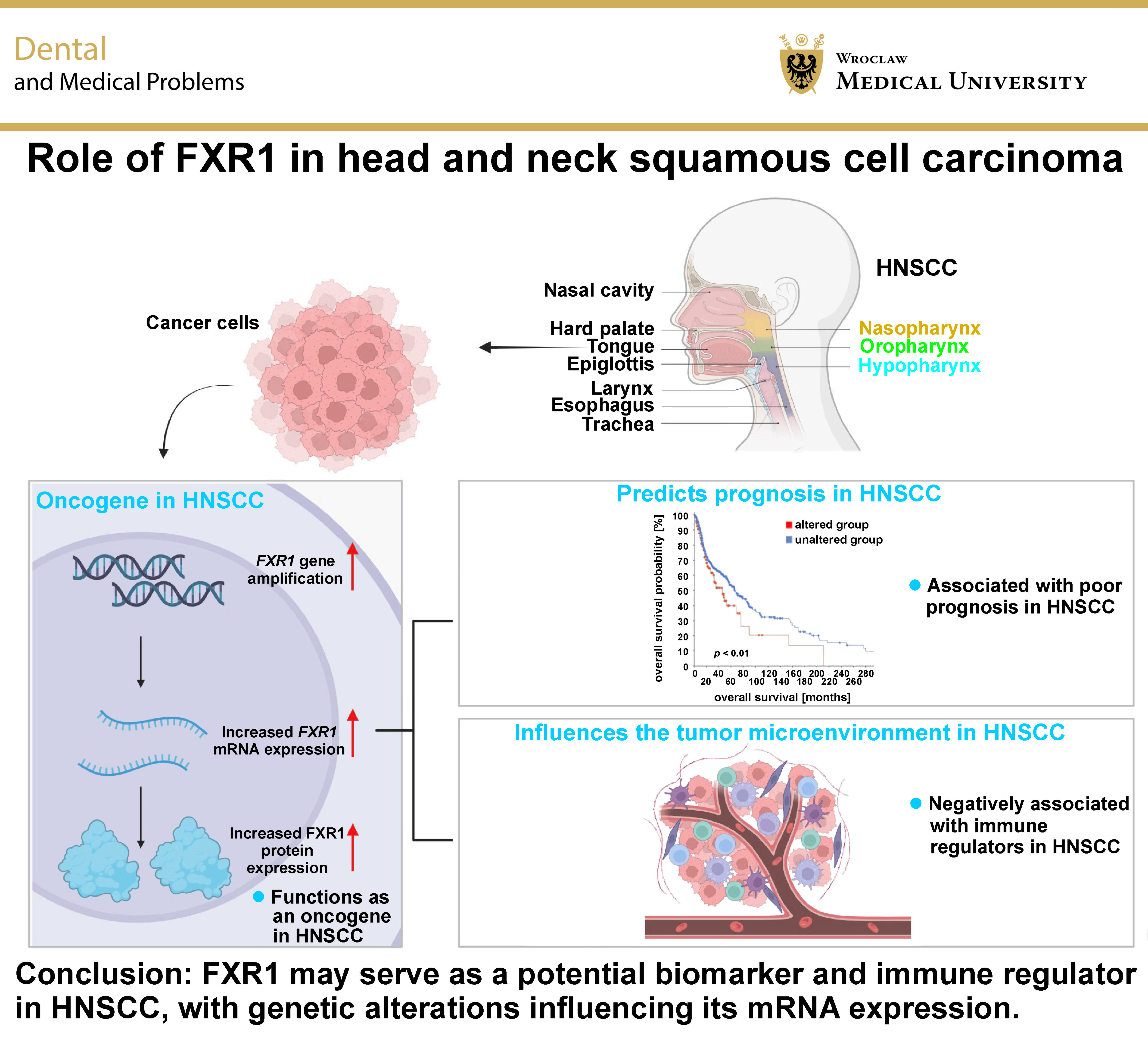 Graphical abstracts