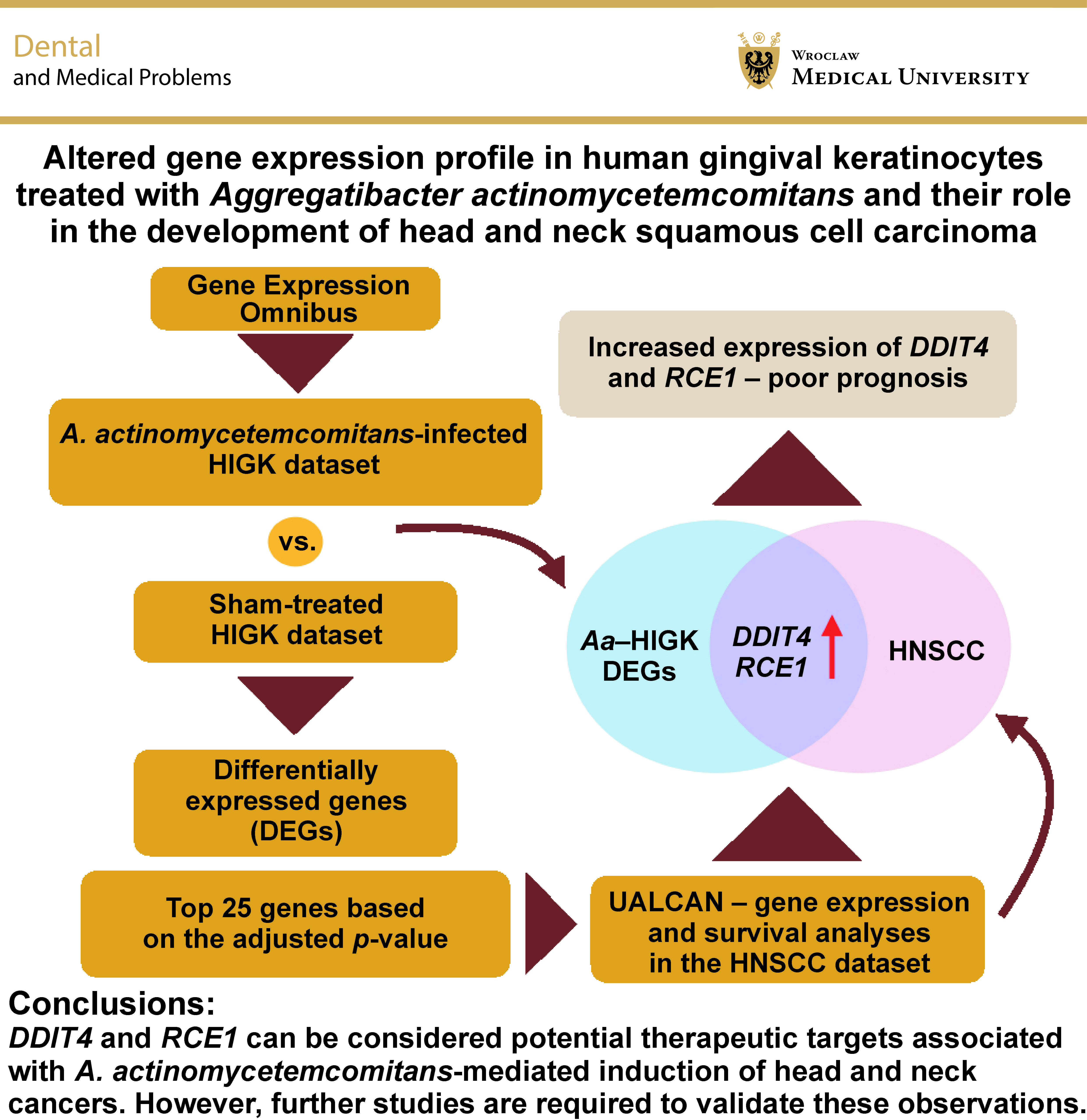 Graphical abstracts