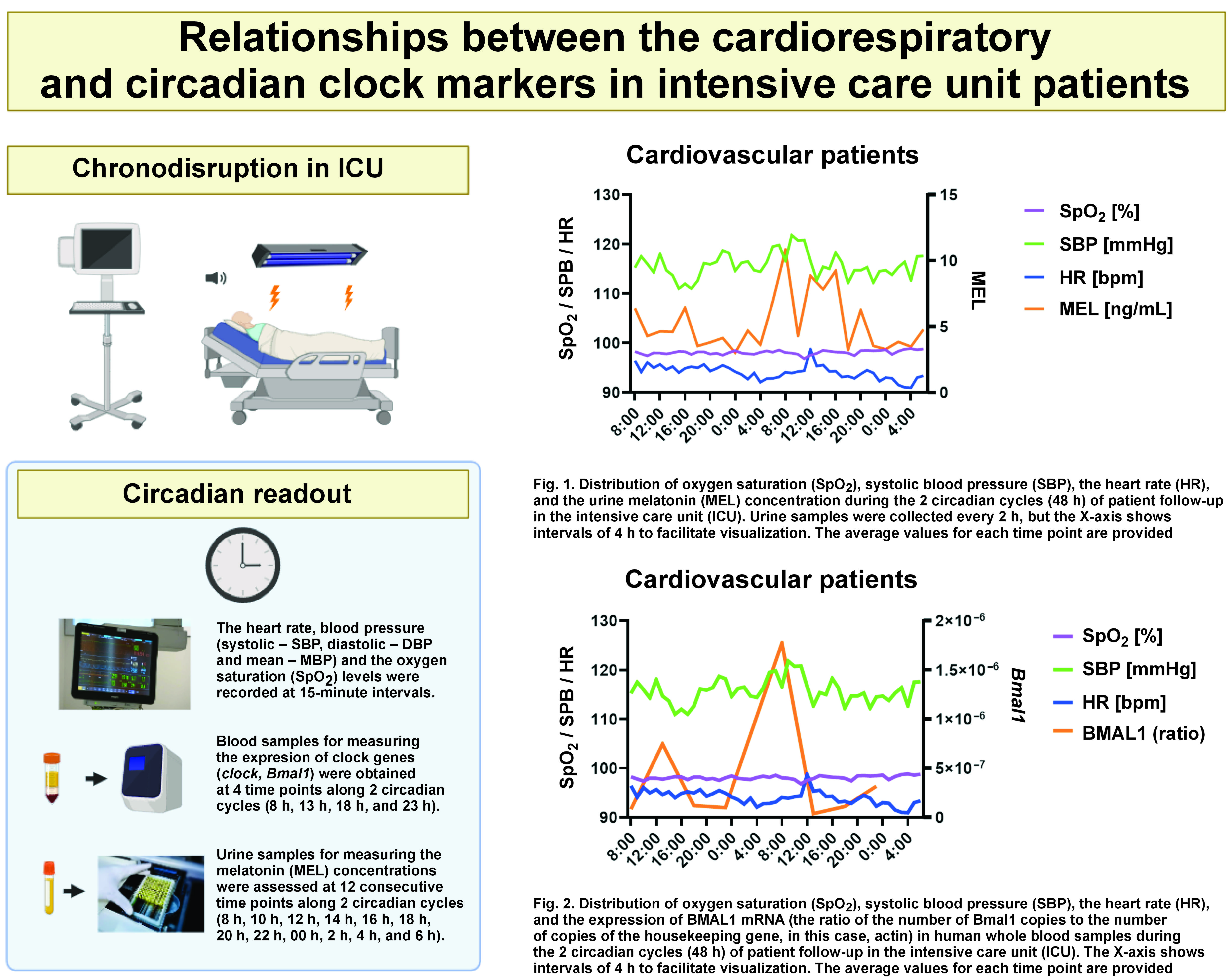 Graphical abstracts