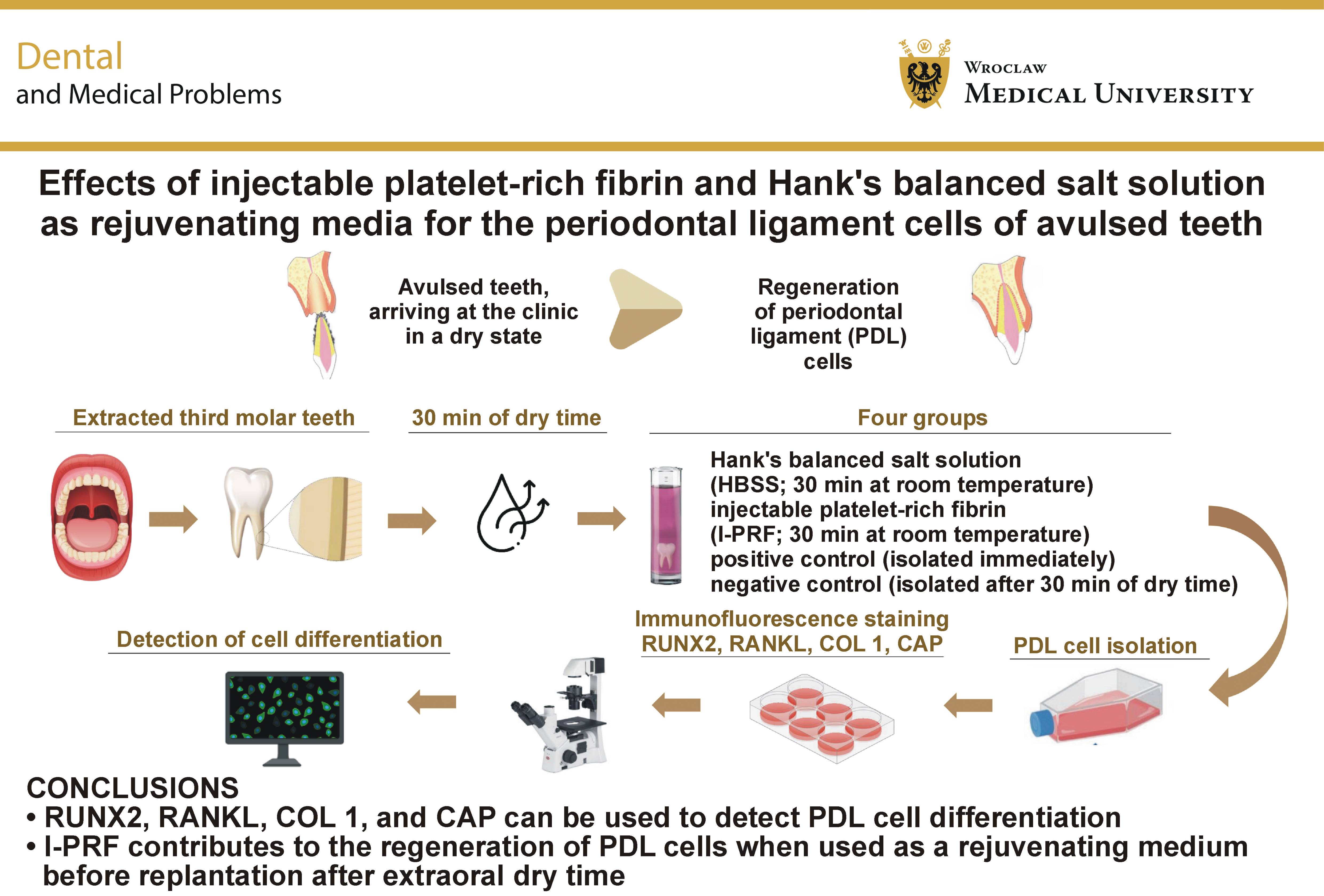 Graphical abstracts