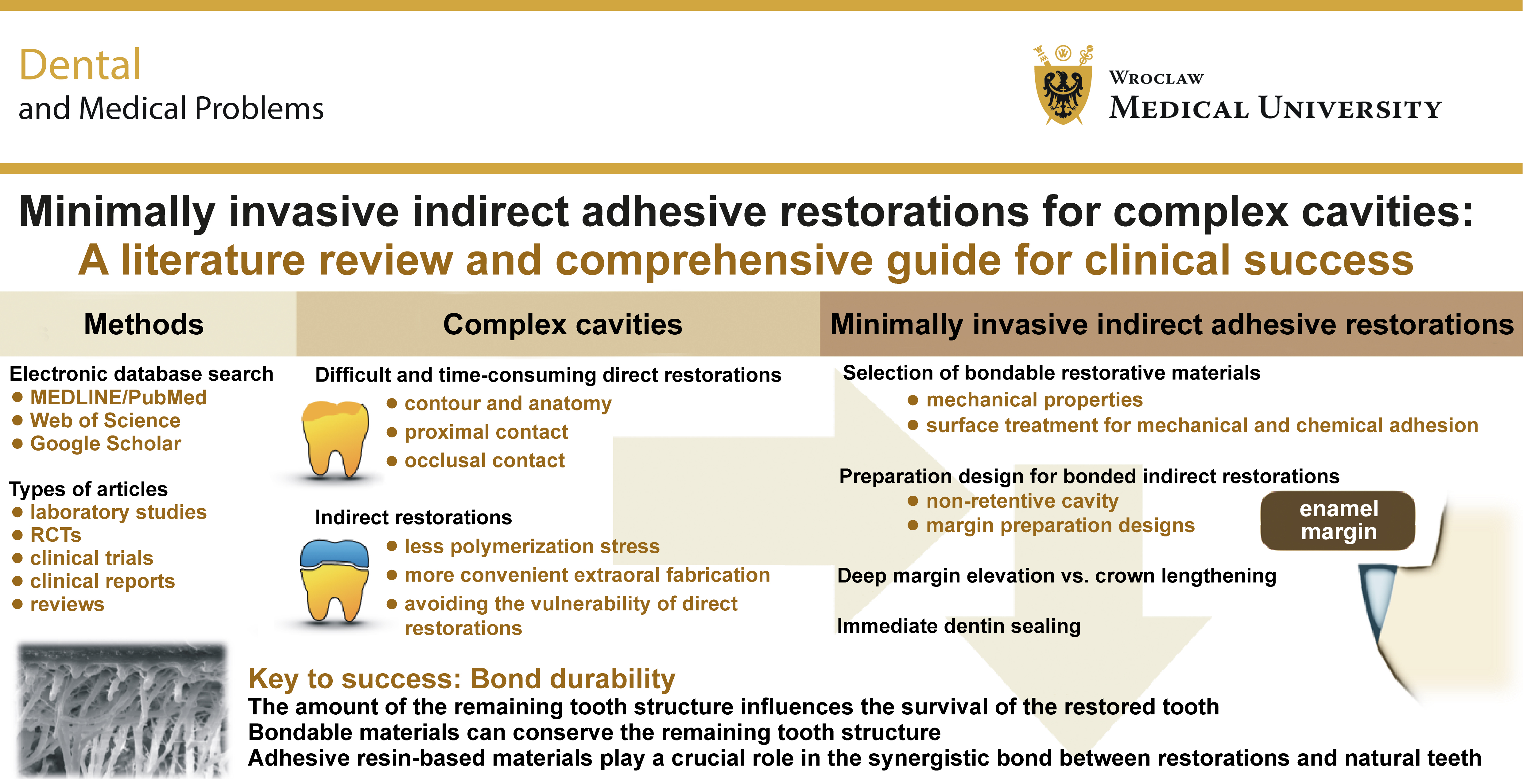 Graphical abstracts