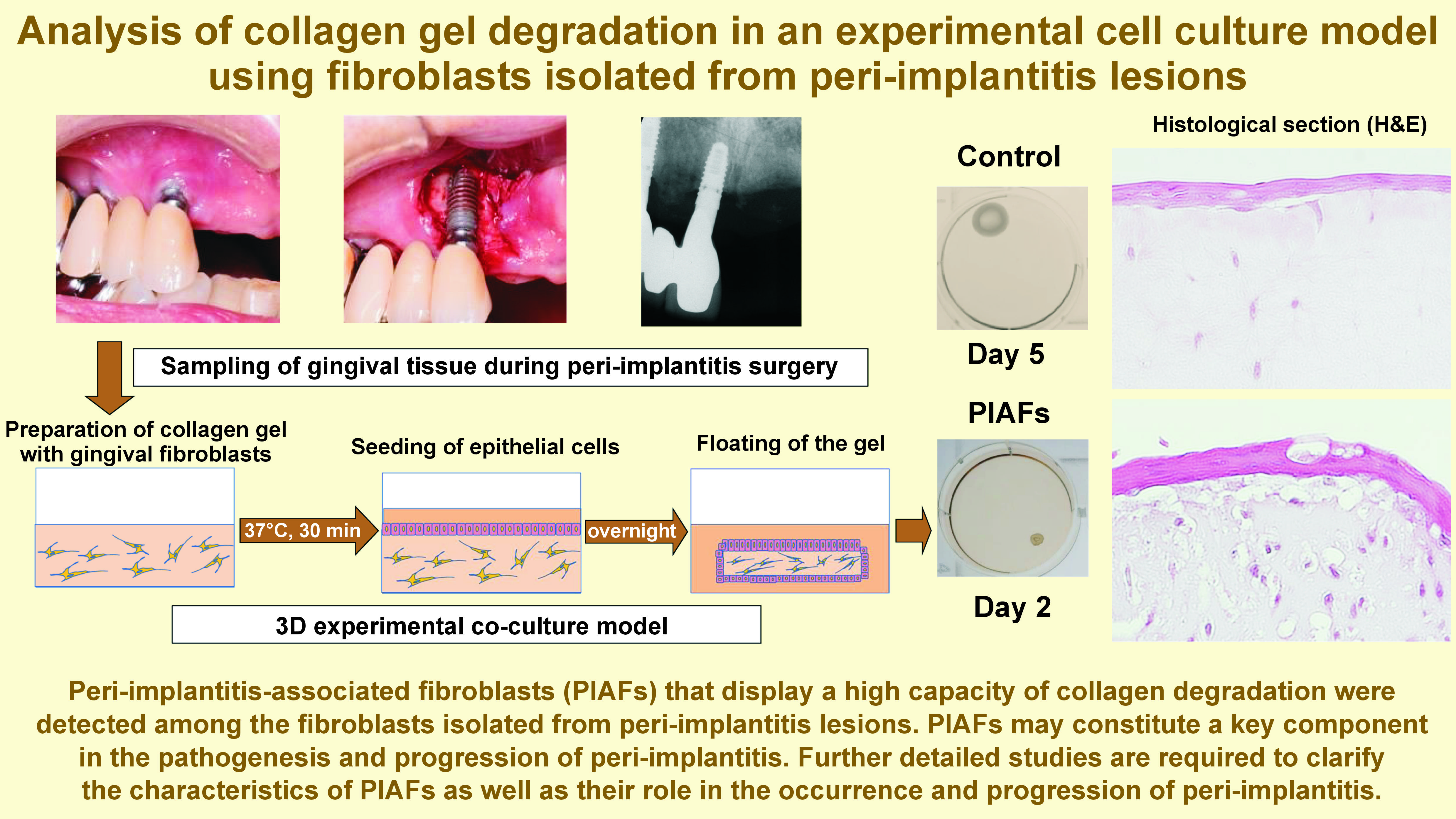 Graphical abstracts