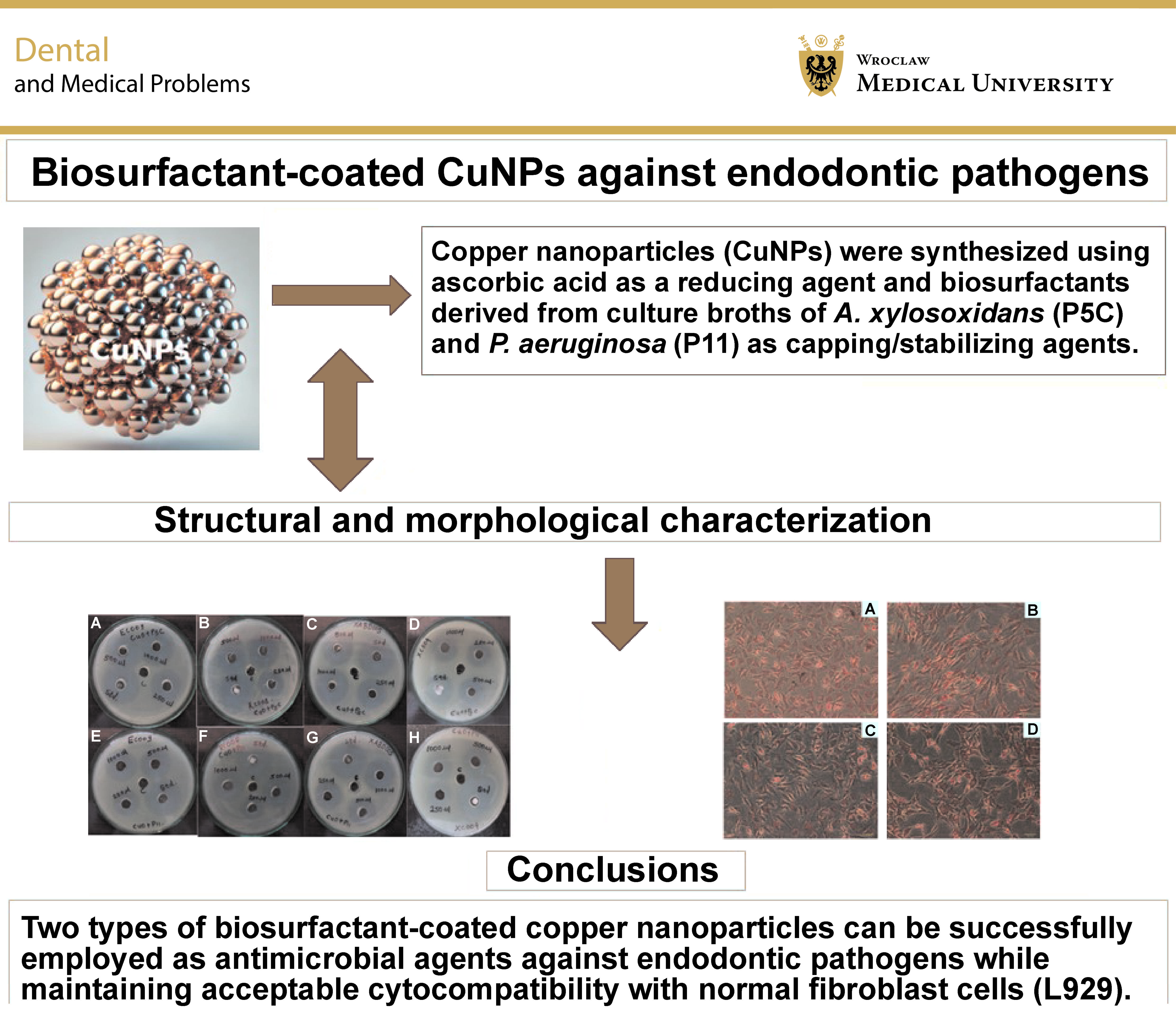 Graphical abstracts