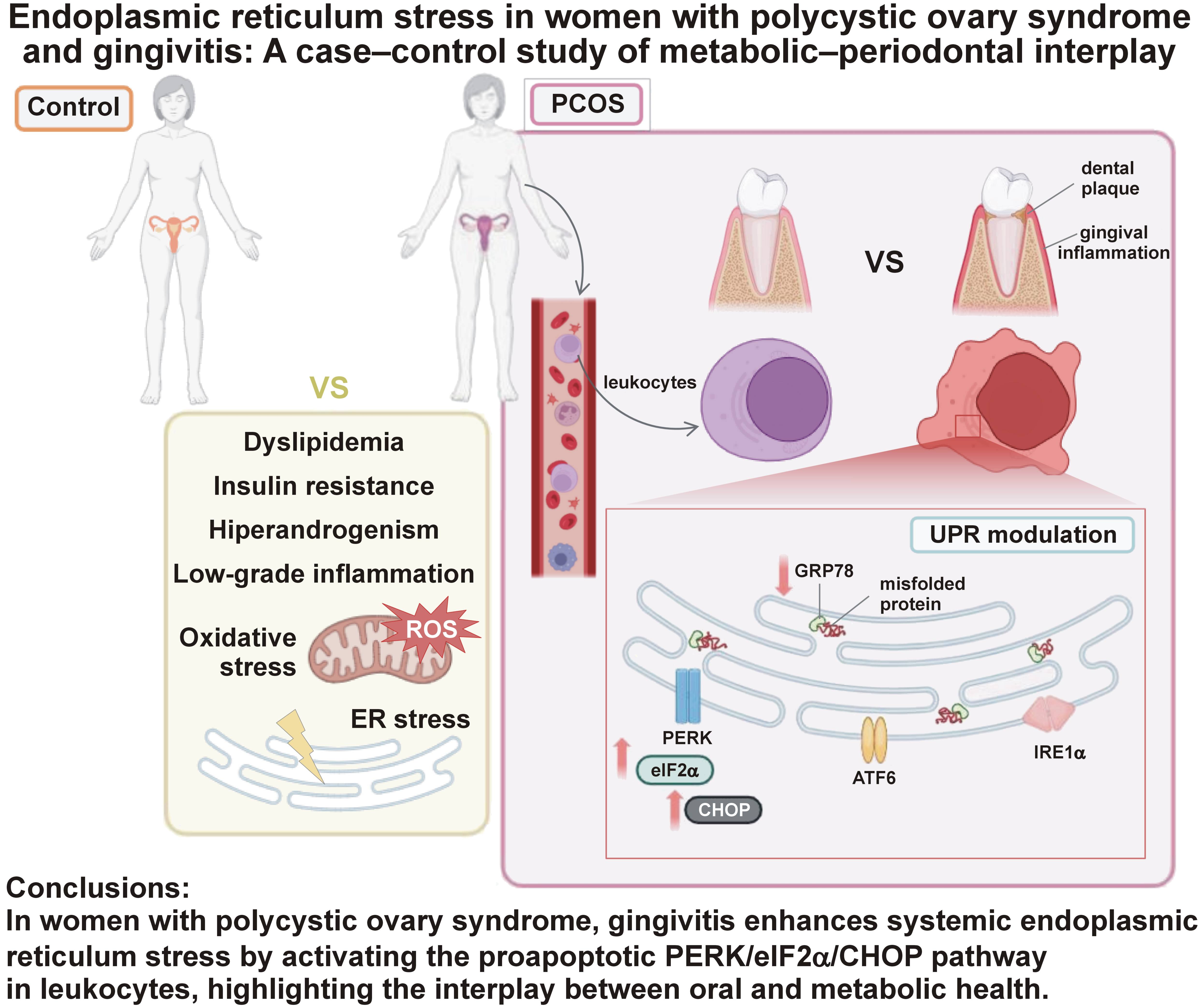 Graphical abstracts