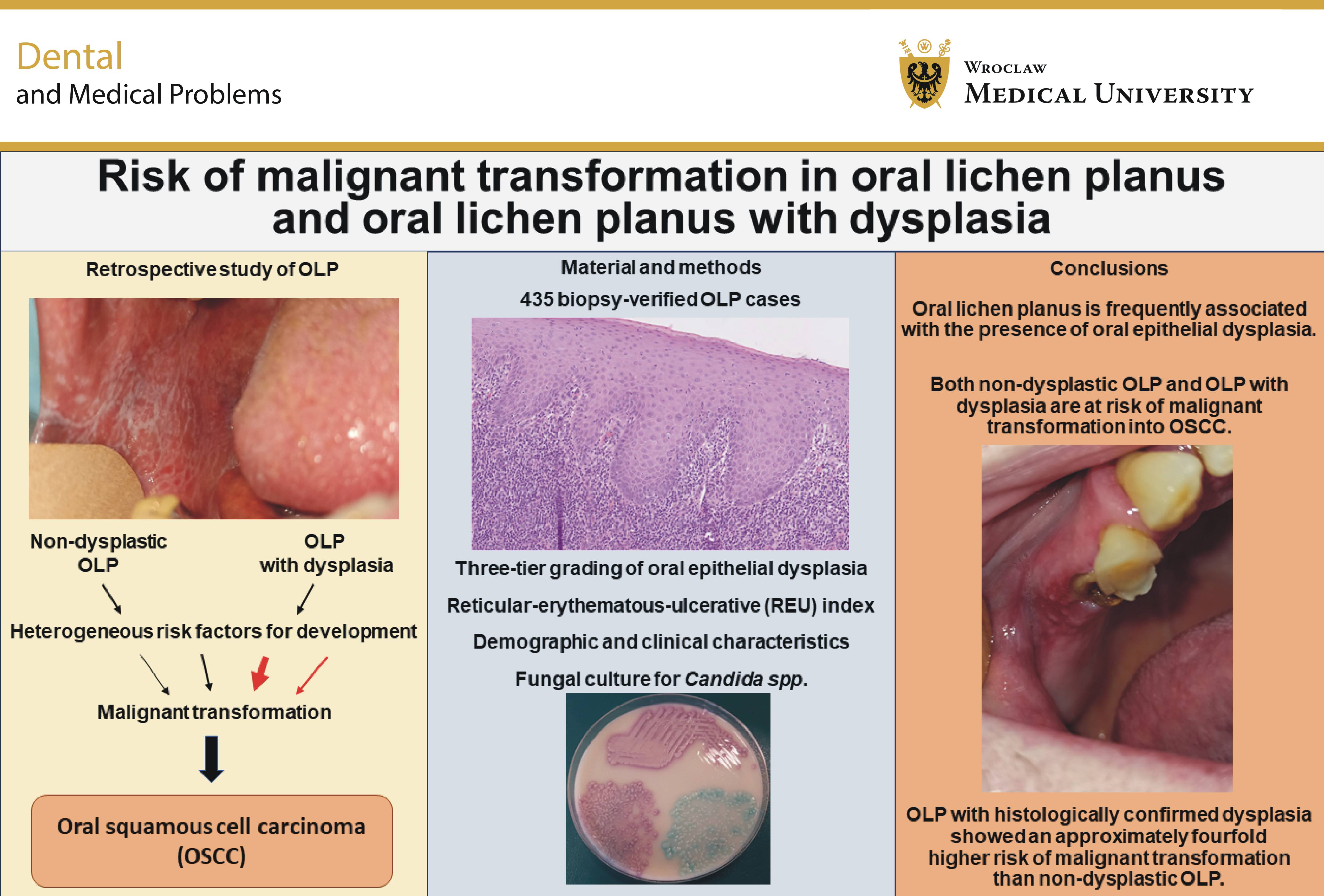 Graphical abstracts