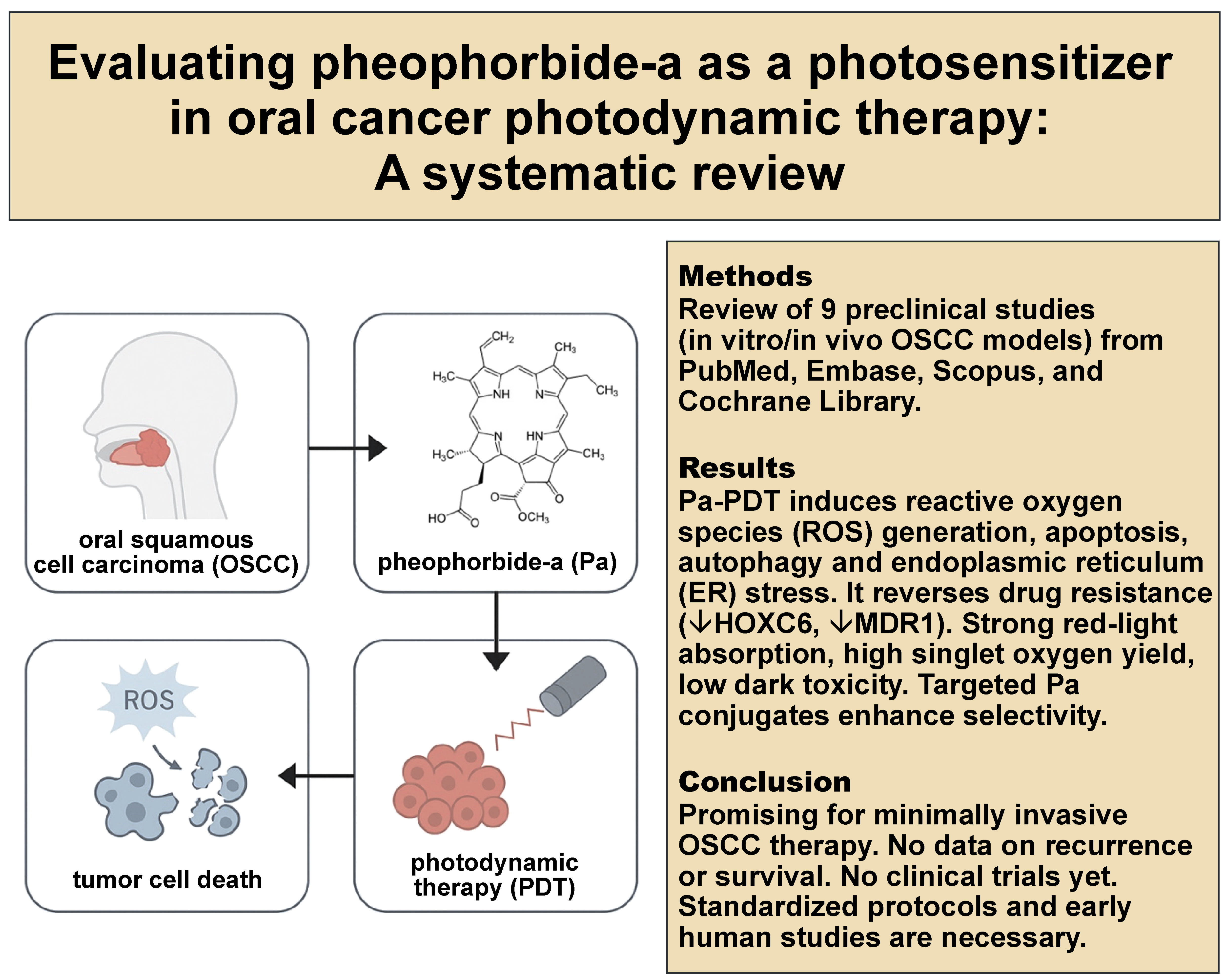 Graphical abstracts
